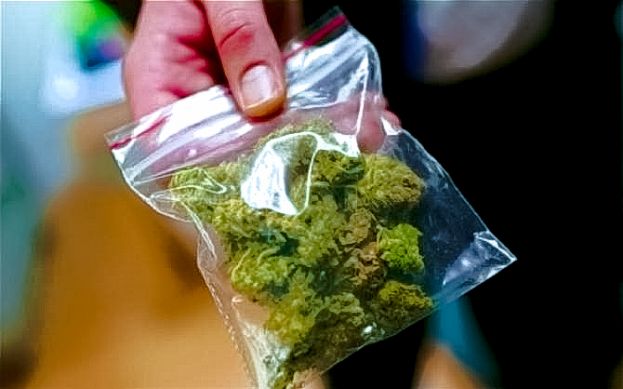 Hashish