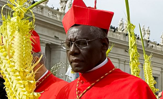 Il Cardinale Robert Sarah