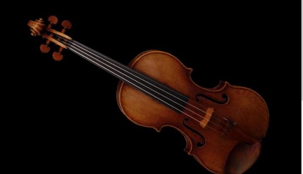 Violino