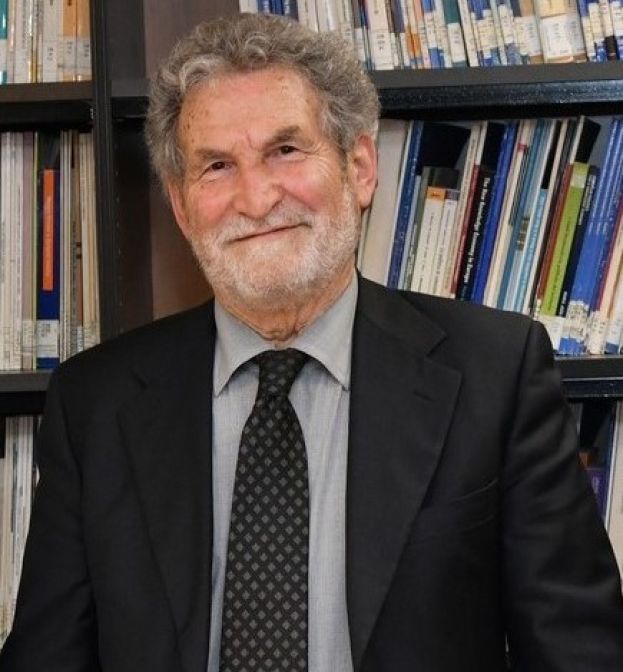 Goffredo Plamerini