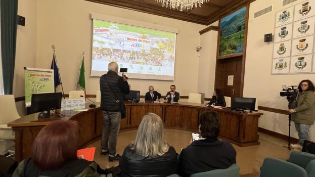 Conferenza