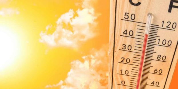 Caldo