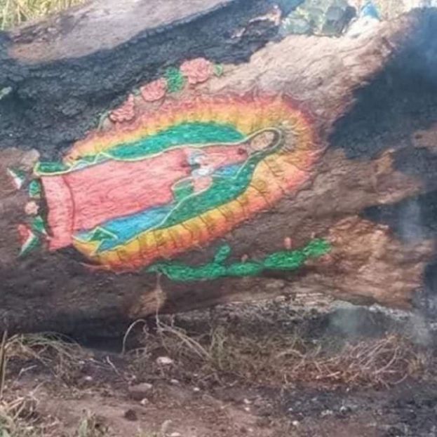 FLORIDA - MIRACOLO TRA LE FIAMME, APPARE IN UN TRONCO LA MADONNA DI GUADALUPE