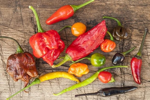 Peperoncino
