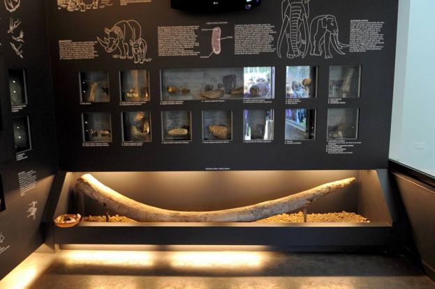 MUSEO DI CASAL DE’ PAZZI