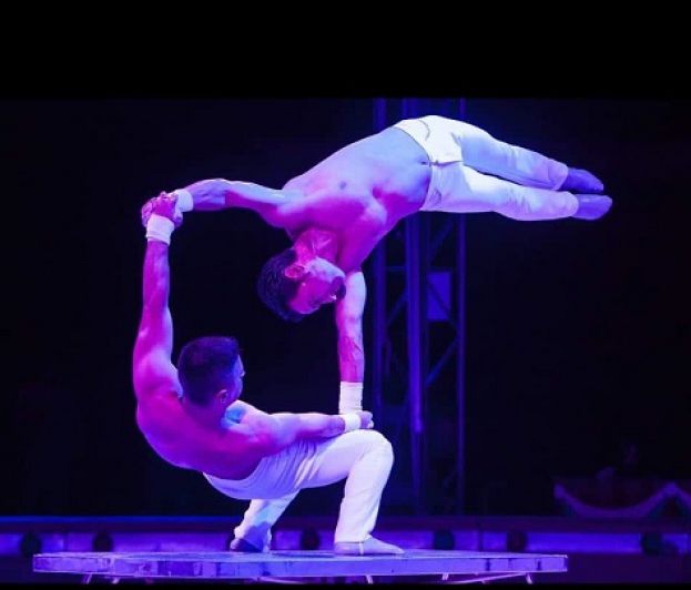 Acrobati