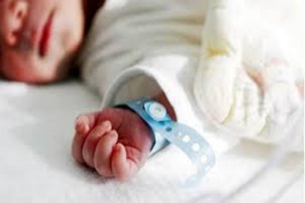 Neonato