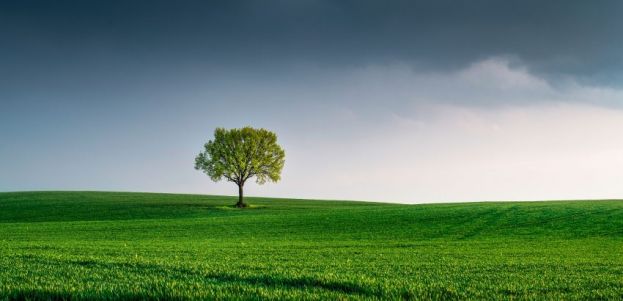 Zone Economiche Ambientali