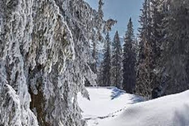 Neve