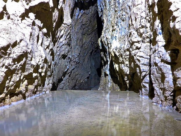 RISERVA NATURALE DELLE GROTTE DI PIETRASECCA: LA FAUNA DELLA GROTTA DELL'OVITO