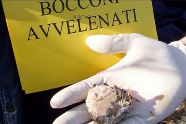 Bocconi Avvelenati