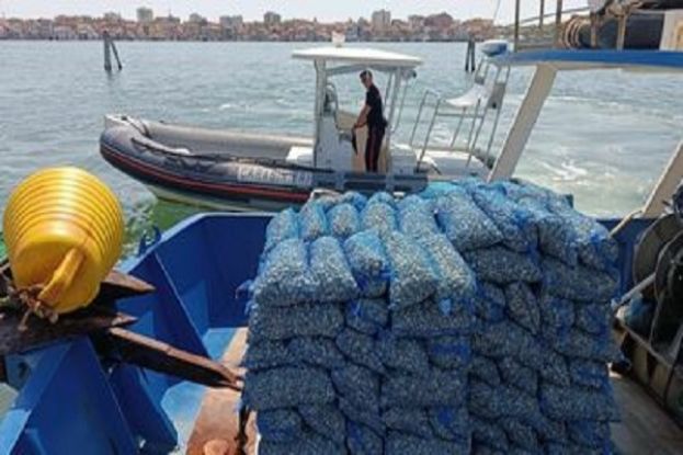 PESCARA - SEQUESTRATI 600 KG DI VONGOLE