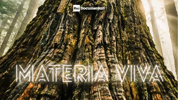 Materia Viva