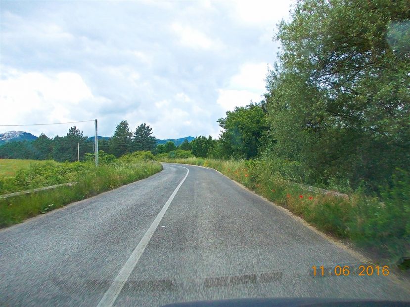 PERETO, STRADA PROVINCIALE INVASA DALLE ERBACCE: UN PERICOLO PER GLI AUTOMOBILISTI E NON SOLO