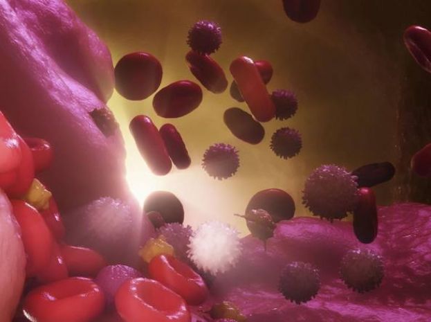 BAMBINA MALATA DI LEUCEMIA CURATA CON TERAPIA GENICA SPERIMENTALE
