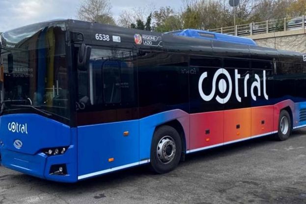 Bus Cotral
