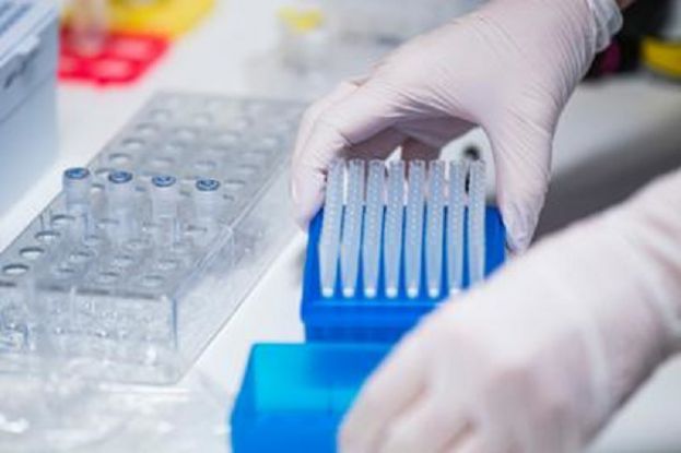 Tamponi del covid-19