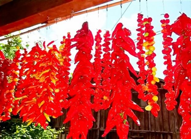 Peperoncino