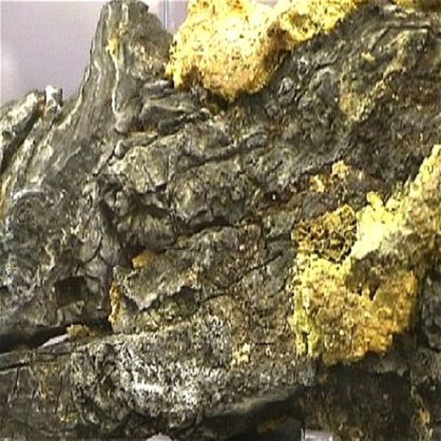 Oro
