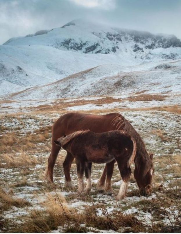 Prima neve a Campo Imperatore