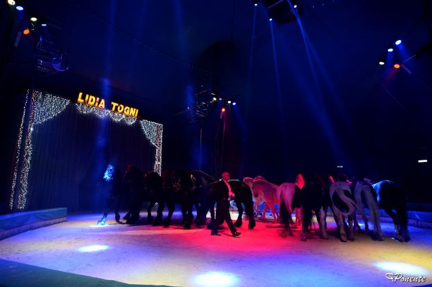 Circo Lidia Togni
