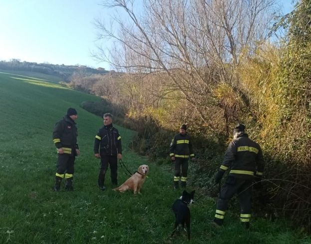 Unità cinofile in azione