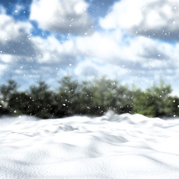 Neve