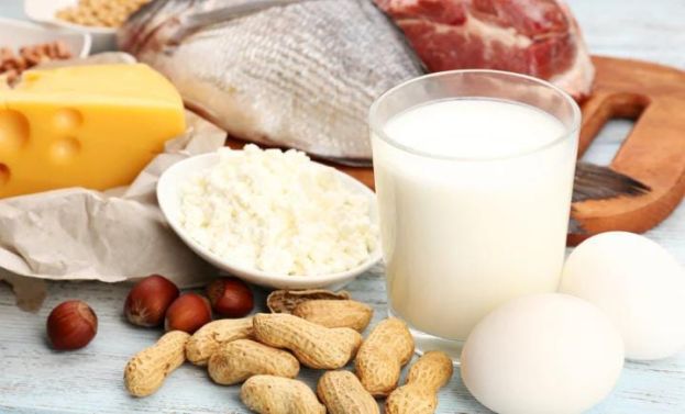 Cibo Proteico