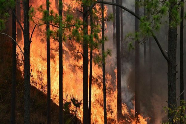 Incendio L'Aquila