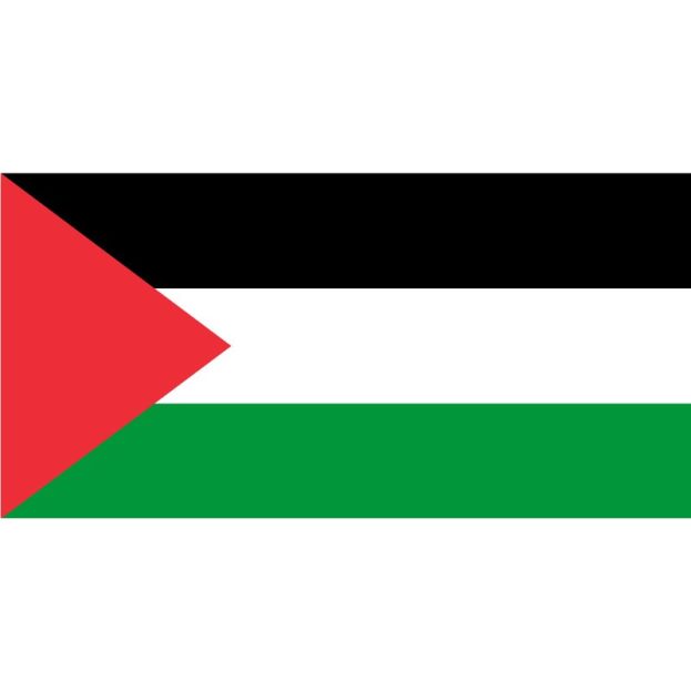 Bandiera Palestinese