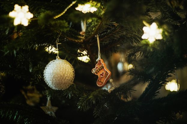 DECORAZIONI NATALIZIE