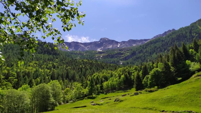 Montagna