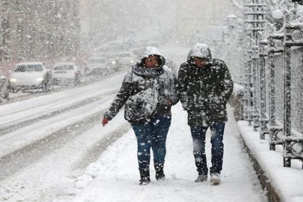 Neve