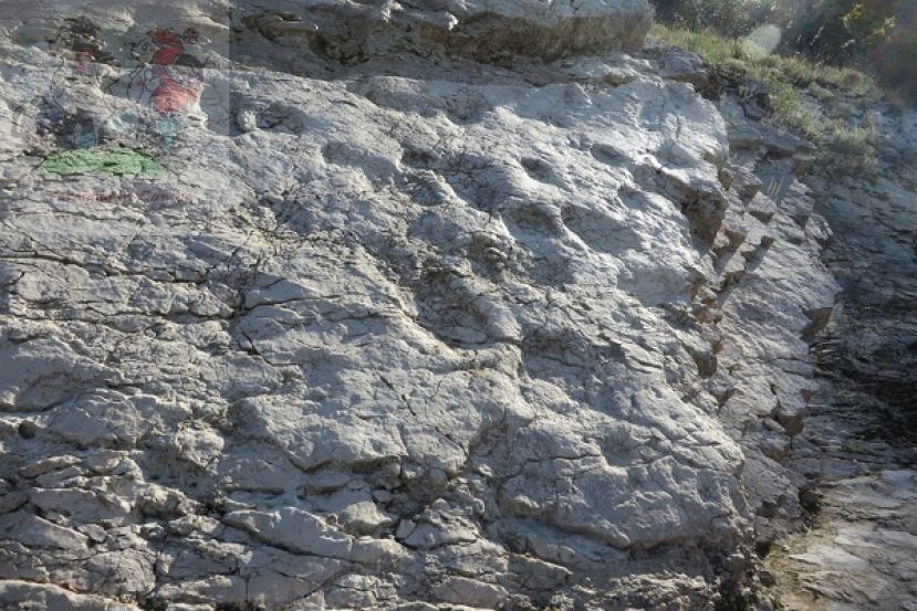 Fossile