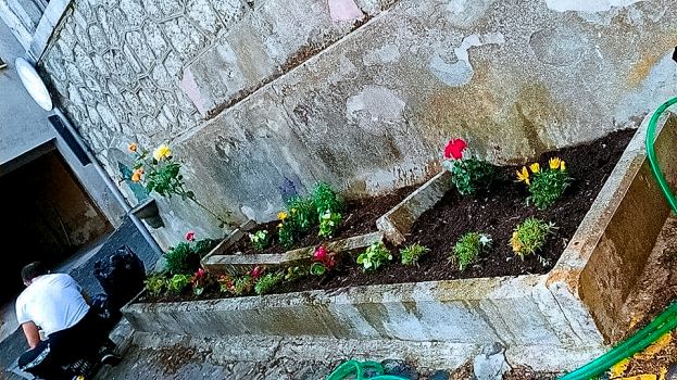 Fiori a Poggio Cinolfo