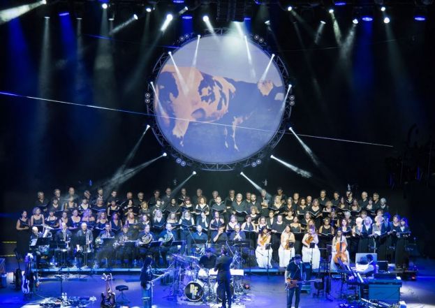 Momenti dell'esibizione della band