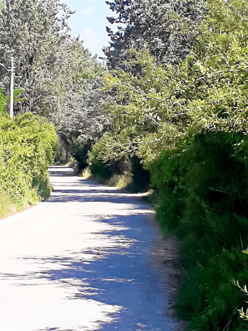 Località Golfarolo