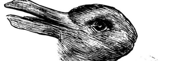 ANATRA O CONIGLIO?QUELLO CHE VEDI NEL DISEGNO PUO' DIRTI QUALCOSA SULLLA TUA PERSONALITA'