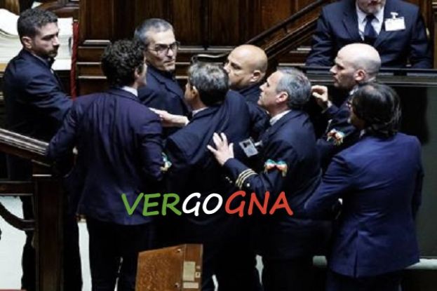 Rissa alla Camera