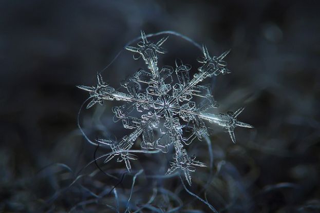 Neve
