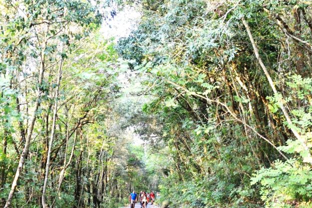 PARCO NAZIONALE DEL CIRCEO