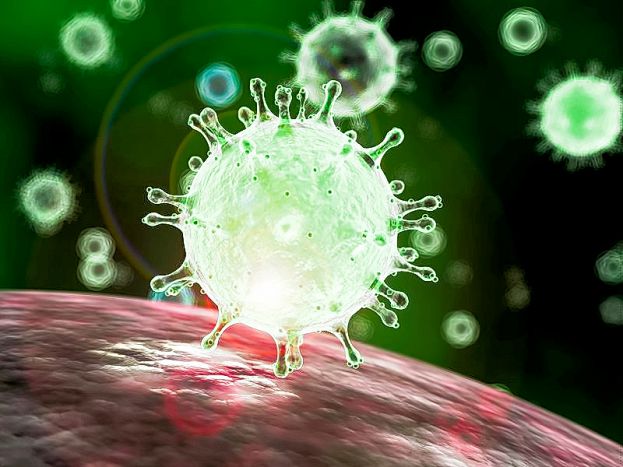 Coronavirus, Ragazzo Morto