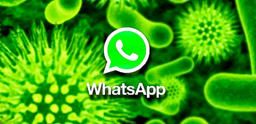 Whatsapp Virus