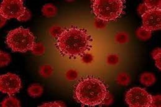 Coronavirus