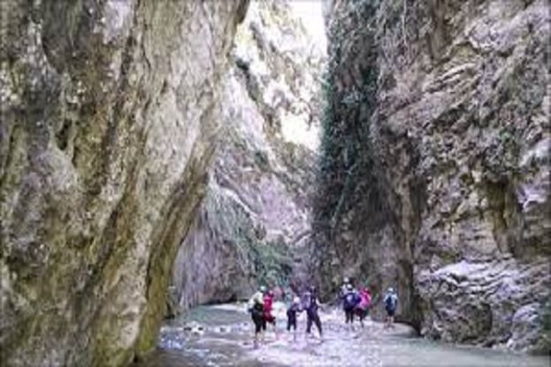 Gole