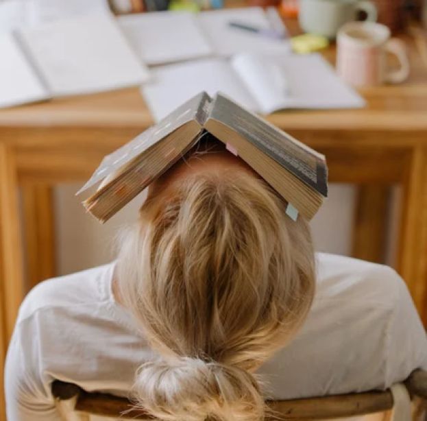 Studente