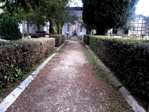 CIMITERO DI CARSOLI: DISTRUTTE LE SIEPI ORNAMENTALI DALLA "PIRALIDE DEL BOSSO", UN PARASSITA DI ORIGINE ASIATICHE