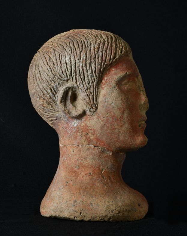 Mezza testa Deposito Minerva Medica