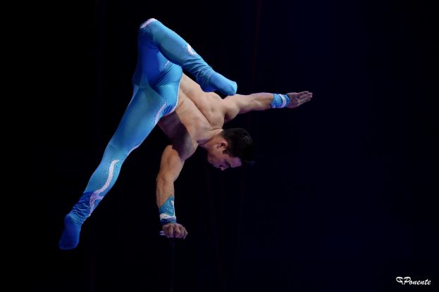 Equilibrista