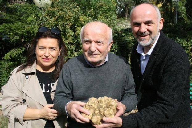 Il tartufo bianco trovato